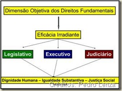 Dimensão Objetiva e Eficácia Irradiante dos Direitos Fundamentais.