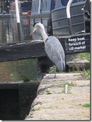 IMG_0127 Winkwell Lock