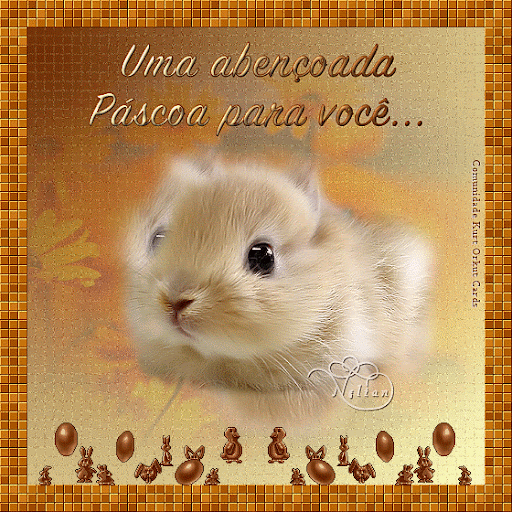 http://scrapstotal.blogspot.com.br/