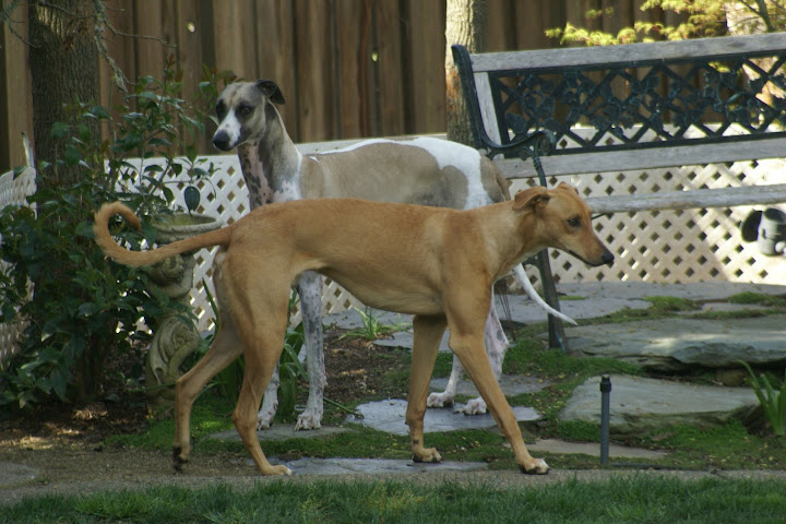 DSC03164.JPG