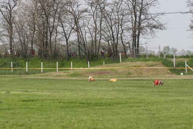 IMG_1343.JPG