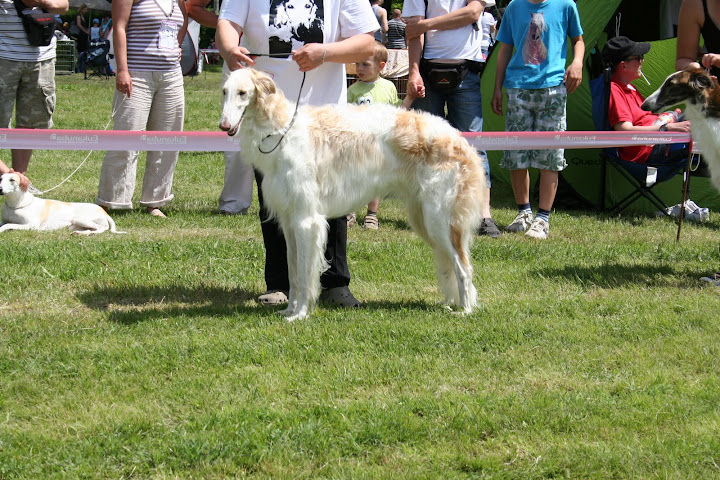 IMG_2972.JPG