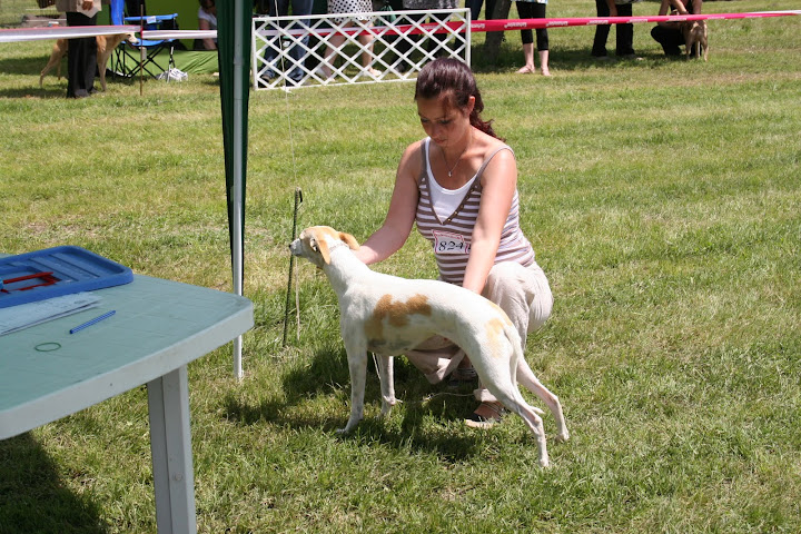 IMG_3040.JPG