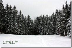 IMG_0500 IMG_0500