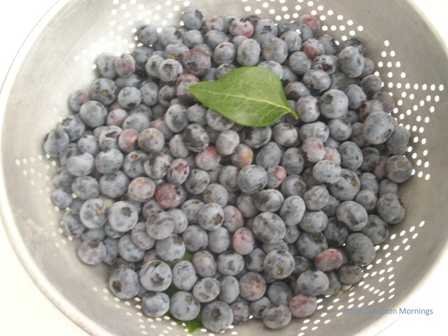 [Blueberrypieberries4.jpg]