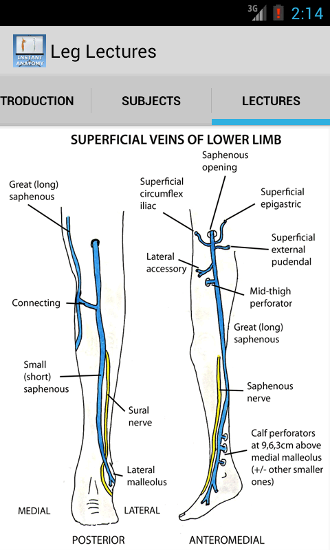 Android application Anatomy Leg Lectures screenshort