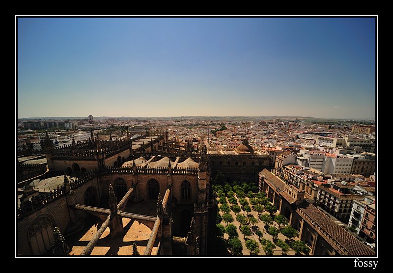 Catedral11.jpg