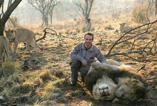 Ranger with lions