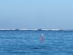2010.05.12 at 08h44m17s - Coral Bay