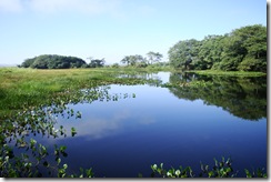 Parque Nacional da Ilha Grande - PR e MS