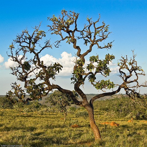 [cerrado[7].jpg]