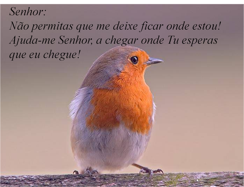 imagmsg3jpg..png