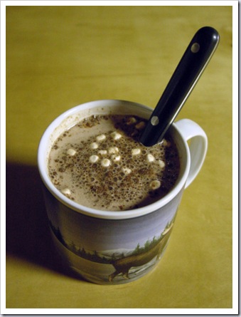 Mmmmm.... Hot Cocoa!