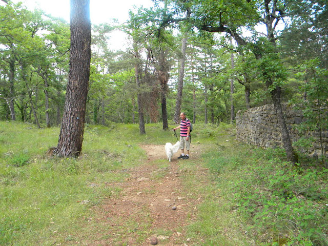 http://lh3.ggpht.com/_okII_Ctcw94/TCTsdDK-frI/AAAAAAAADXA/rKrBlULf9r4/s640/DSCN0779.JPG