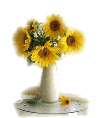 fd34s1257114332655B15D.png
