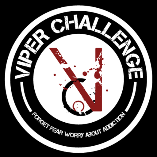 Viper Challenge LOGO-APP點子