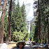 Thác Yosemite Falls