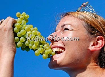 [uvas-saludables-370[2].jpg]