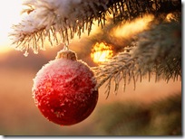 Christmas-new-year-wallpapers (46)