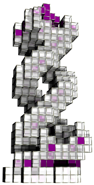 Evolved structure with a double-helix form. Senatore, 2009