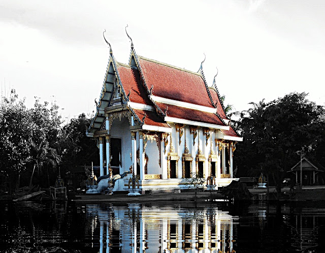 http://lh3.ggpht.com/_pTG3in6GYZE/SUi7VutsSpI/AAAAAAAABsc/1cEOkE2-054/s640/DSC04973.jpg