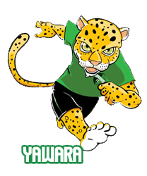 A onça Yawara, escolhida como novo mascote pelos internautas, entrou em extinção antes mesmo de entrar em campo.
