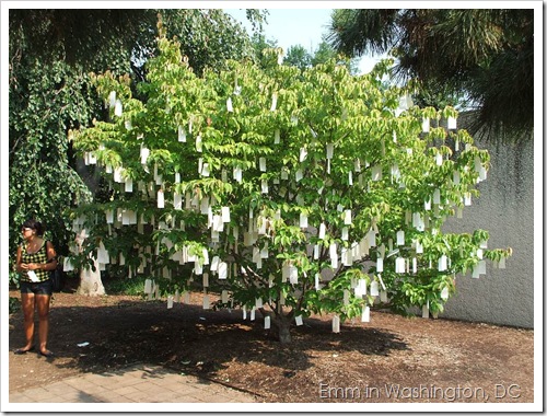 Yoko Ono’s Wish Tree for Washington, DC, 2007