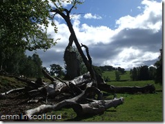 Loch Monzievaird (60)