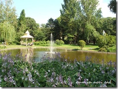 Dunavski Park, Novi Sad (5)
