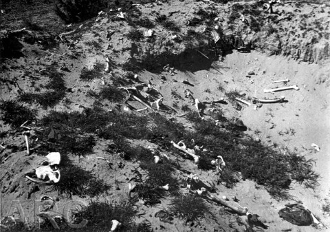 Photo of Treblinka site from 1945, mass graves were disturbed, and bones and personal effects are visible