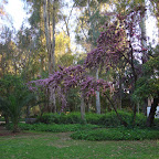 a Parque de María Luisa 12b.jpg