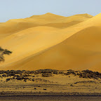 Victoria Rogotneva - 3 Sahara.jpg