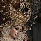 Semana santa de Sevilla-Cachorro-Besamanos V Patrocinio 0.jpg