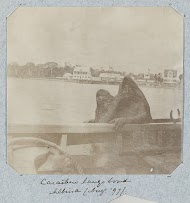 Surinaamse Caraïben langs boord