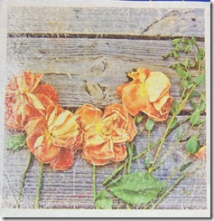 roses_against_wood_iron_transfer