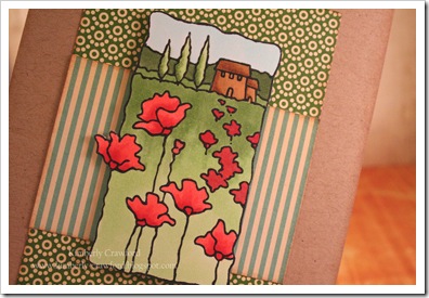 Poppies Scene CU