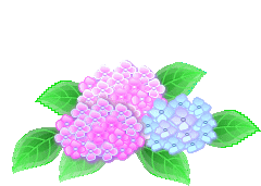 flores1