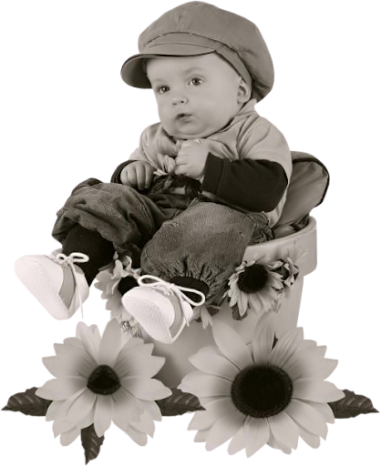 Image13.png