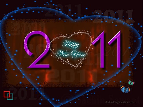 [happy_new_year_2011_3[2].jpg]