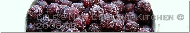 frozen-wild-blueberries-2