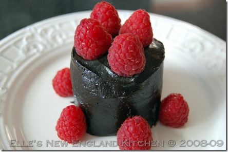 raw-chocolate-ganache-cake-3