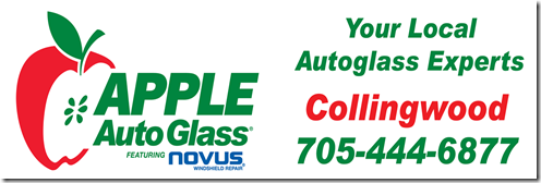 apple auto glass reduced size.png