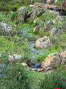 Valverde del Camino, Agua de lluvia