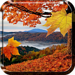 Cover Image of 下载 Falling Leaves Live Wallpaper 3.0 APK