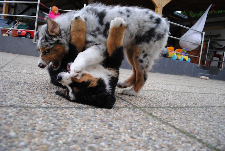 DSC_0041.JPG
