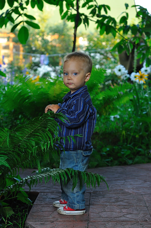 Дача-2010