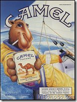 Camel sailing