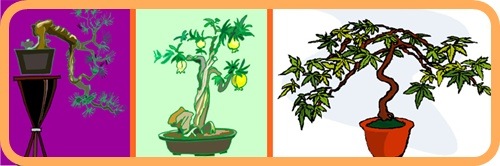 [bonsai part 3[3].jpg]