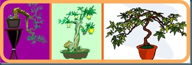 bonsai part 3
