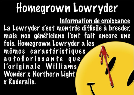 lowryder-page4.jpg